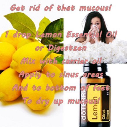 doterra lemon essential oil for sinus mucous